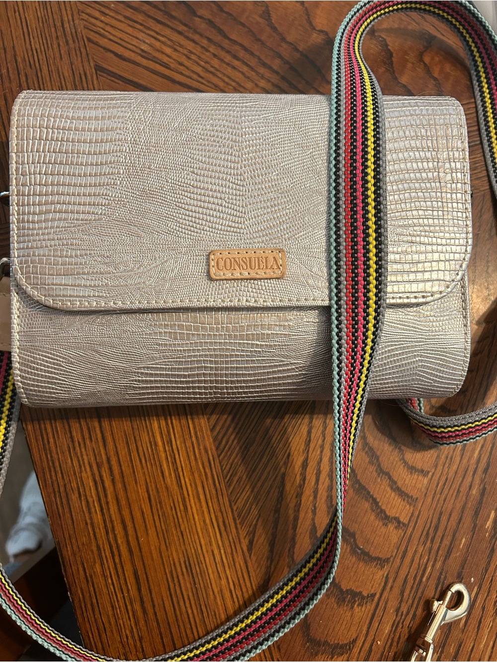 Consuela Shimmery Taupe Crossbody with Multicolor Striped Strap